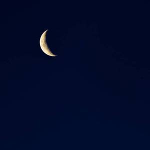 日批发软件大全免费
