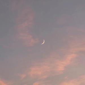 日批发软件大全免费
