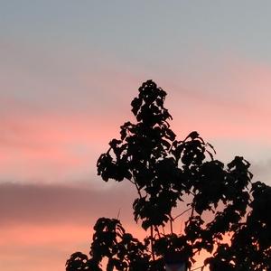 日批发软件大全免费
