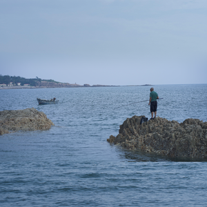 日批发软件大全免费
