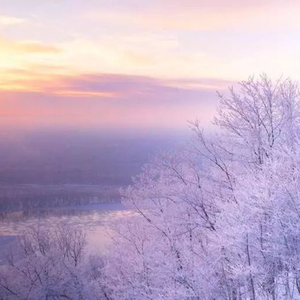 日批发软件大全免费
